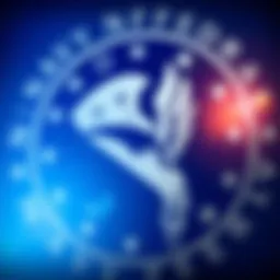 A visual representation of the Navy Federal logo