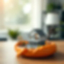 Conceptual illustration of a living trust and home integration