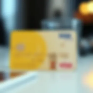 Understanding the Costs Associated with Prepaid Visa Cards Summary Understanding the Costs Associated with Prepaid Visa Cards Summary